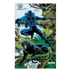 BLACK PANTHER: PANTHER'S...