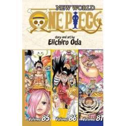 ONE PIECE 3-IN-1 Vol. 29