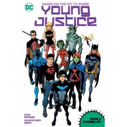 YOUNG JUSTICE BOOK 2:...