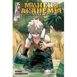 MY HERO ACADEMIA VOL. 29