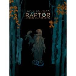 RAPTOR: A SOKOL GRAPHIC NOVEL