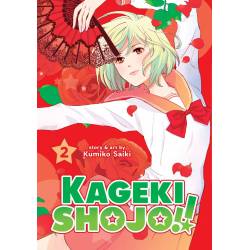 KAGEKI SHOJO!! VOL 2