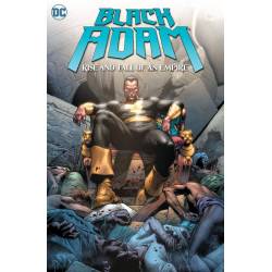 BLACK ADAM: RISE AND FALL...