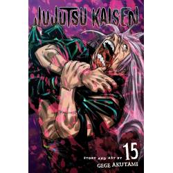 JUJUTSU KAISEN, VOL. 15