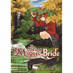 THE ANCIENT MAGUS' BRIDE VOL 3