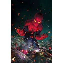DEADLY NEIGHBORHOOD SPIDER-MAN