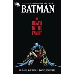 BATMAN - A DEATH IN THE...