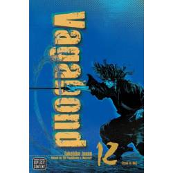 VAGABOND (VIZBIG Edition),...
