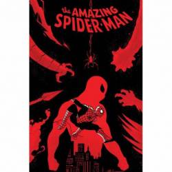 Amazing Spider-Man By Zeb...