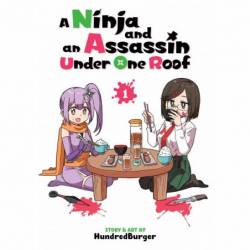 A Ninja and an Assassin...