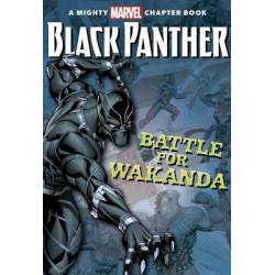 BLACK PANTHER THE BATTLE...